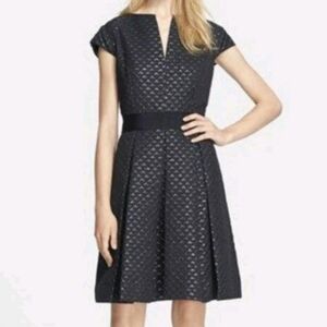 Ted Baker London Carice Metallic Jacquard Fit And Flare Dress, TD Sz 3